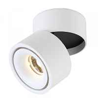 Светильник потолочный Crystal Lux CLT 412C WH - цена и фото Светильник потолочный Crystal Lux CLT 412C WH - цена и фото
